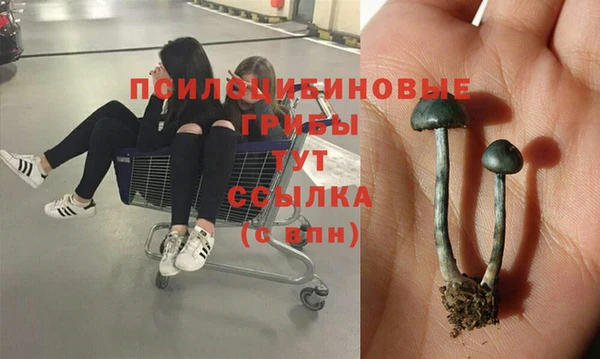 синтетический гашиш Волосово